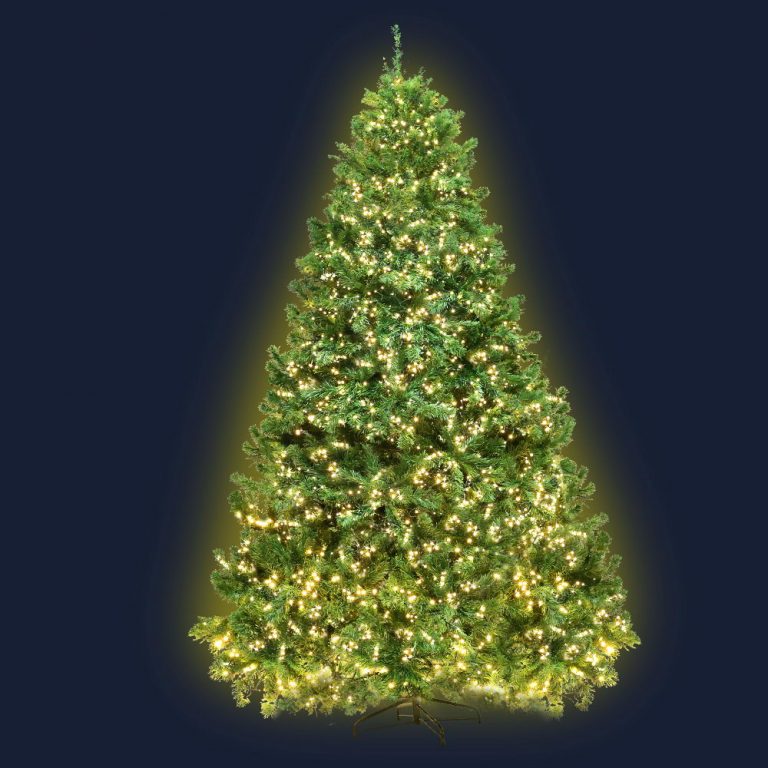 Buy Christmas Trees Online With Afterpay