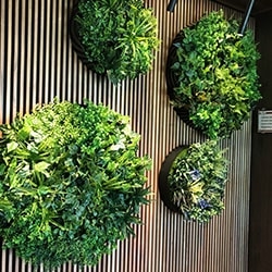 Artificial Green Wall Disc