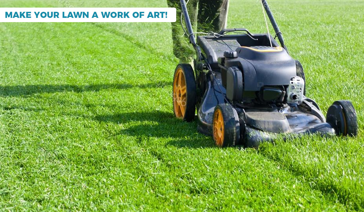 lawn mower afterpay