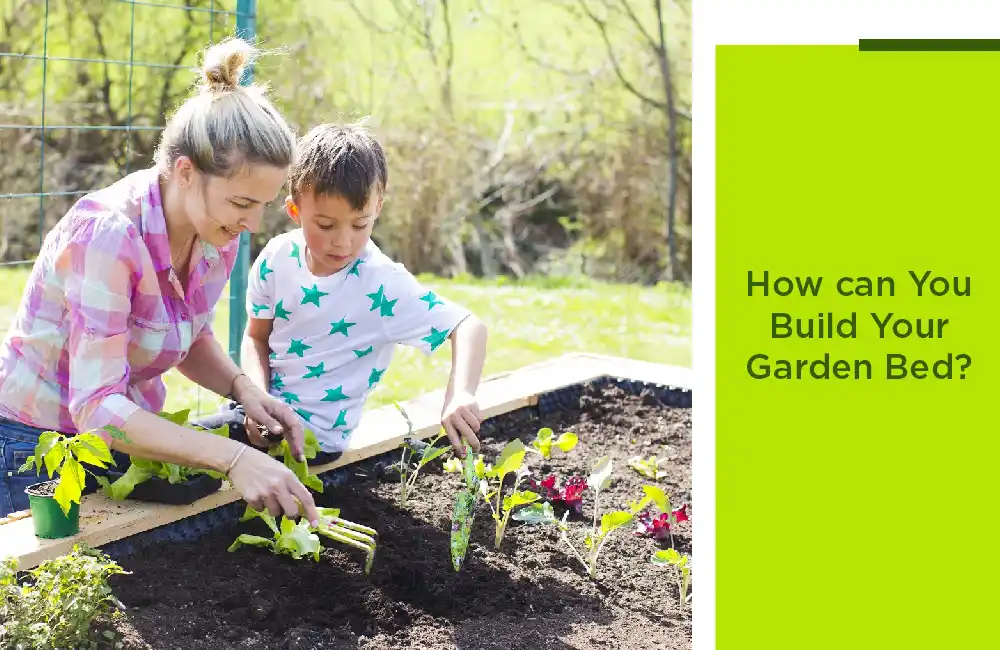 How Can You Build Your Garden Bed