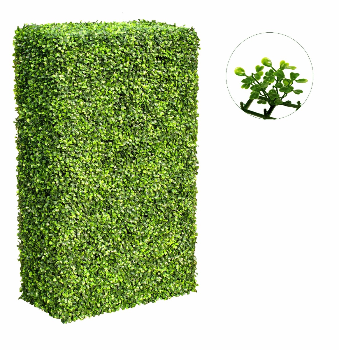 Large Portable Boxwood Hedges UV Stabilised 2m By 1m