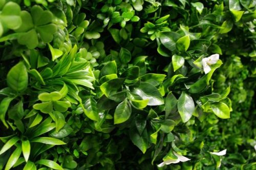 White Oasis Vertical Garden / Green Wall UV Resistant 1m x 1m