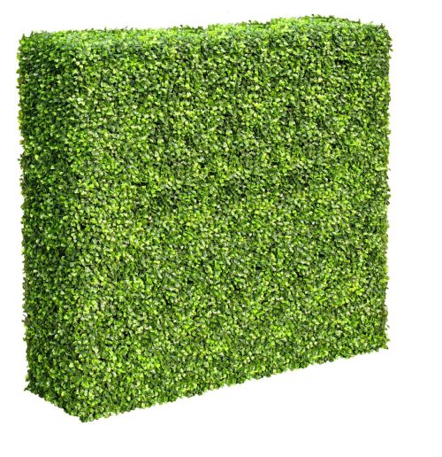 Mixed Boxwood Hedge UV Resistant 100cm Long x 100cm High