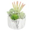 Potted Artificial Succulent Bowl with Marble Pot 20.5cm