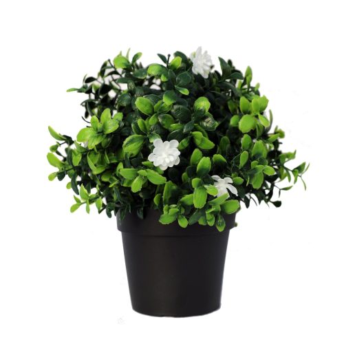 Small Potted Artificial Flowering Boxwood Plant UV Resistant 20cm