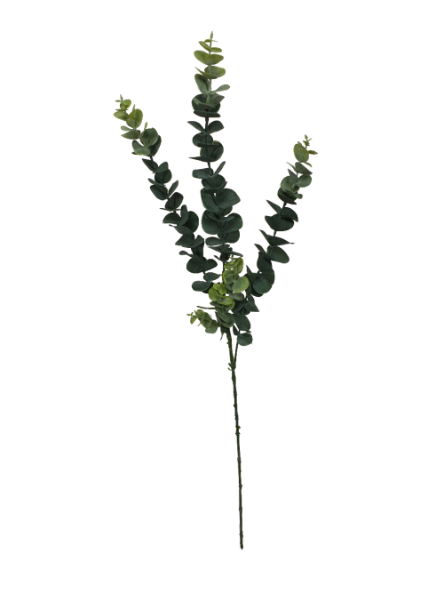 5 Pack – Long Eucalyptus Stem 77 cm