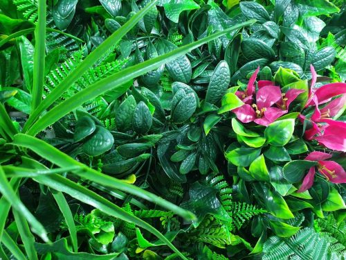 Flowering Lilac Vertical Garden / Green Wall UV Resistant Sample