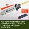 Baumr-AG 65CC Petrol Pole Chainsaw Chain Saw Pruner Pro Arbor Tree Tool Cutter