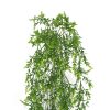 Artificial Dense Hanging Evergreen Plant (Two-Tone) UV Resistant 80cm