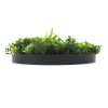 Flowering White Artificial Green Wall Disc UV Resistant 100cm (Black Frame)