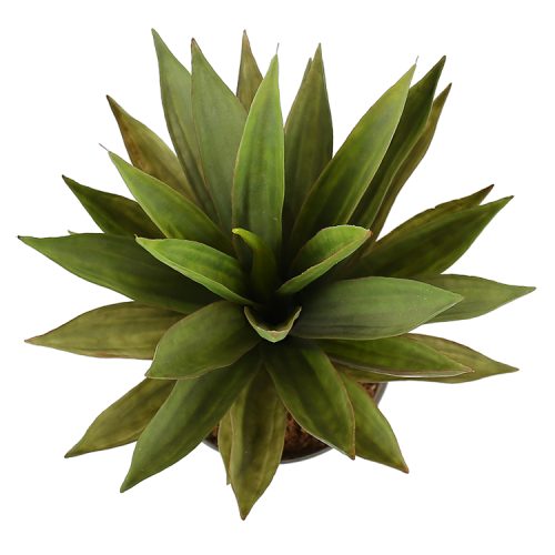 Artificial Dense Potted Aloe Vera Plant 50 cm