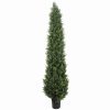 UV Resistant Cypress Pine Tree 1.8m
