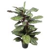 Artificial Wide Leaf Cordyline Plant 90cm