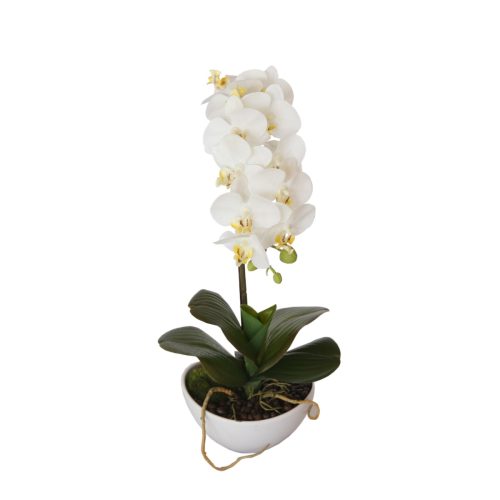 46cm Butterfly Orchid – White