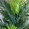 Multi Trunk Hawaii Palm 180cm