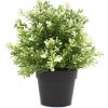 Small Potted Artificial White Jade Plant UV Resistant 20cm