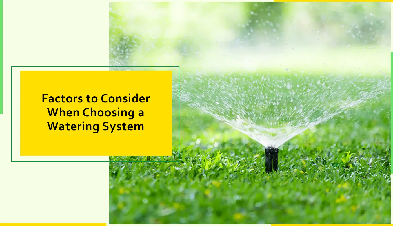 Factors to Consider When Choosing a Watering System