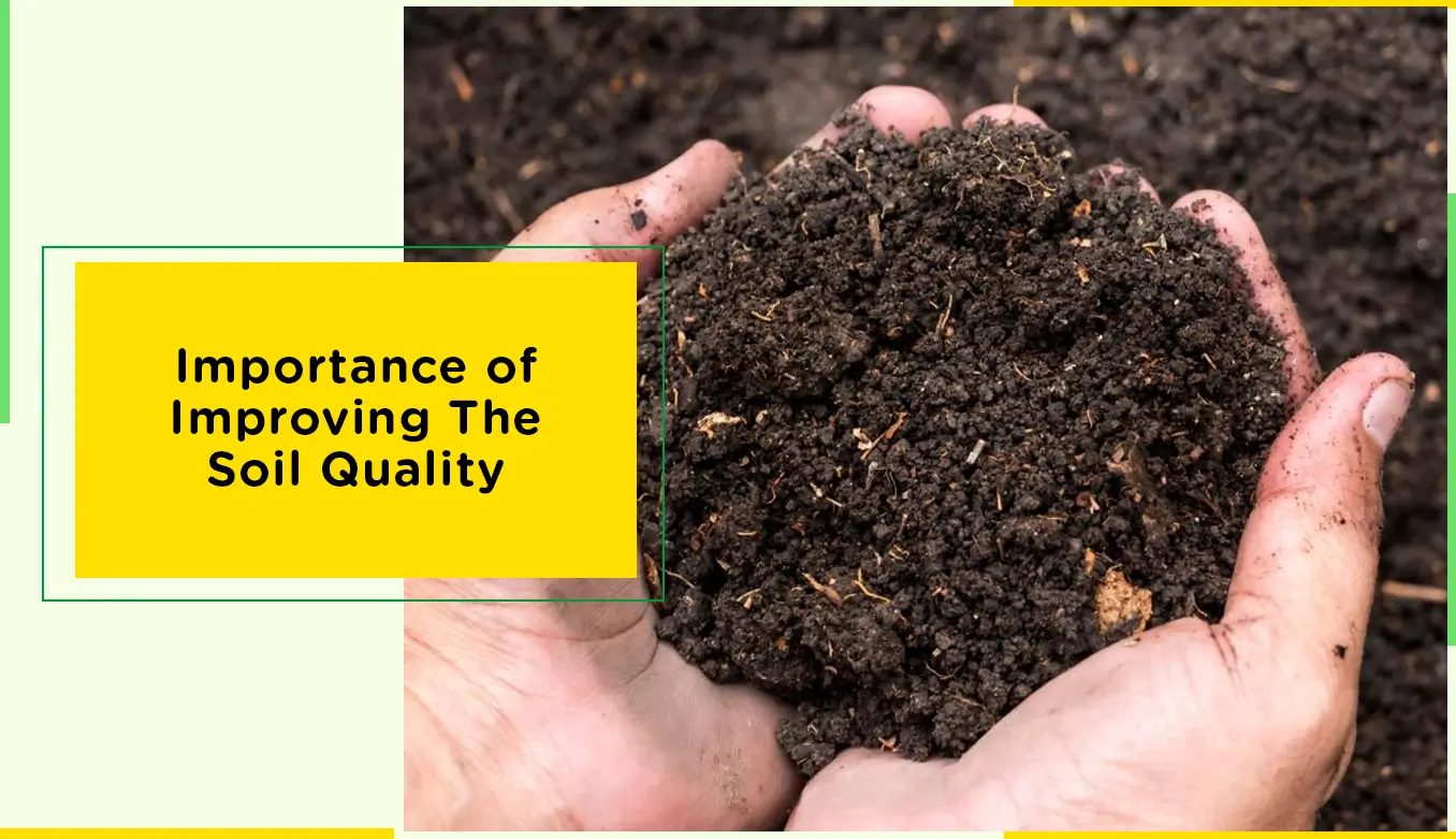 Importance Of Improving The Soil Quality