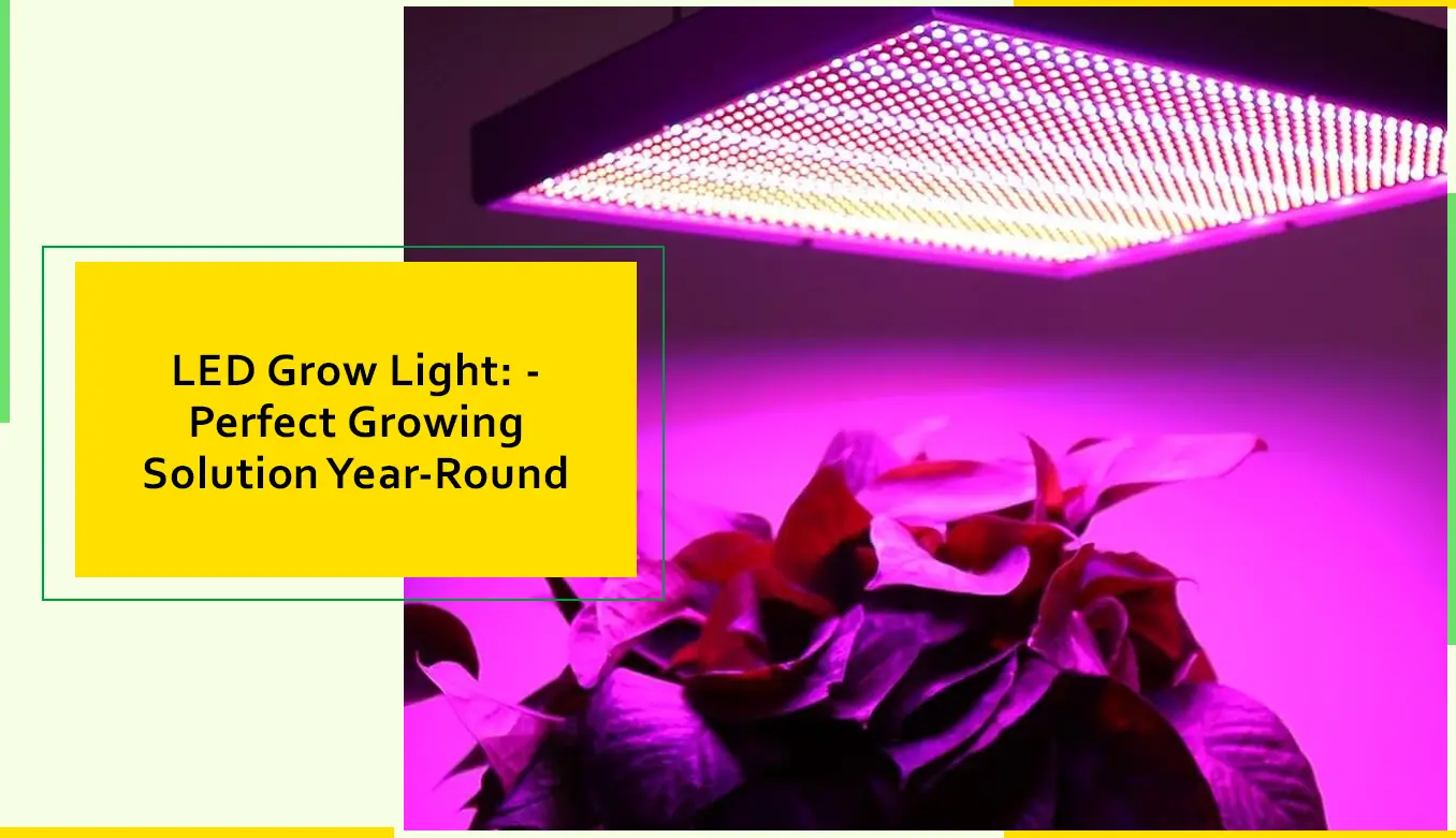 LED Grow Light Perfect Growing Solution Year Round
