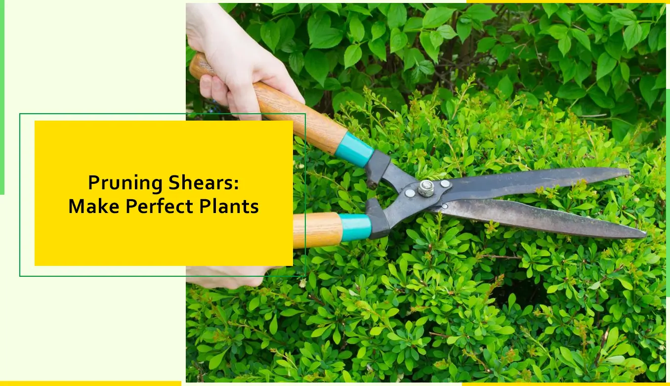 Pruning Shears Make Perfect Plants