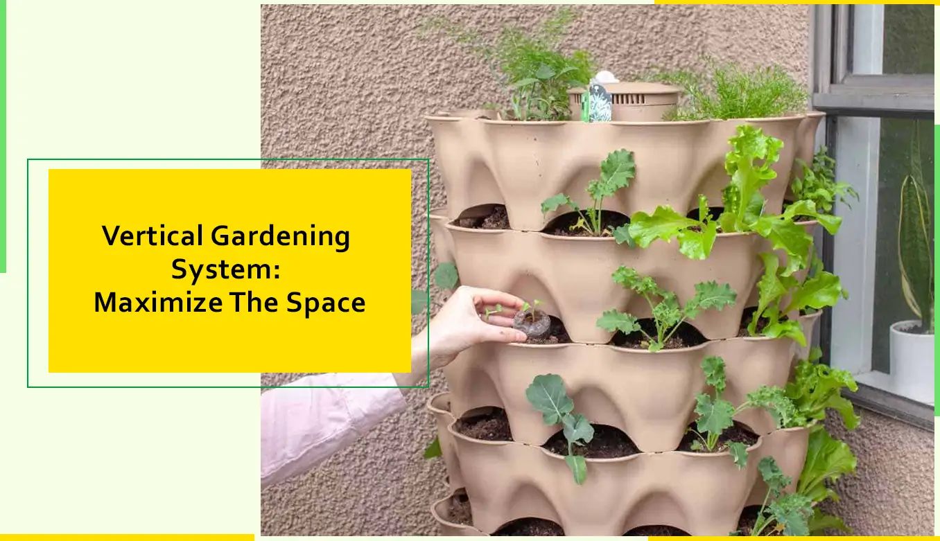 Vertical Gardening System Maximize The Space