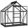 Glass Greenhouse Anthracite 155x103x191 cm Aluminium