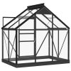 Glass Greenhouse Anthracite 155x103x191 cm Aluminium