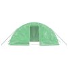 Greenhouse with Steel Frame Green 10 m² 5x2x2.3 m