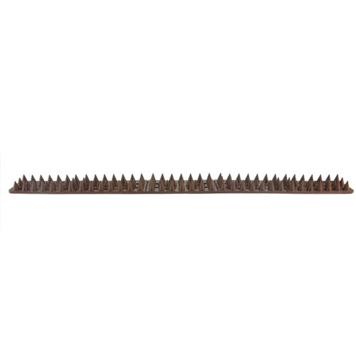 10x Bird Spikes Human Cat Possum Mouse Pest Control Spiked Fence Wall Deterrent