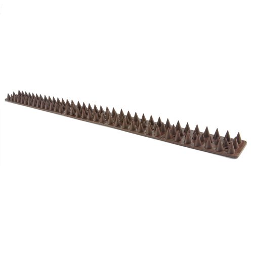 10x Bird Spikes Human Cat Possum Mouse Pest Control Spiked Fence Wall Deterrent