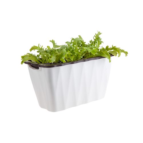 Rectangular Flowerpot Vegetable Herb Flower Outdoor Plastic Box Garden Decor