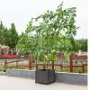 160cm Rectangular Inclined Plant Frame Tube Pergola Trellis Vegetable Flower Herbs Outdoor Vine Support Garden Rack