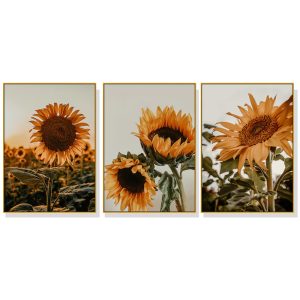 40cmx60cm Sunflower 3 Sets Gold Frame Canvas Wall Art