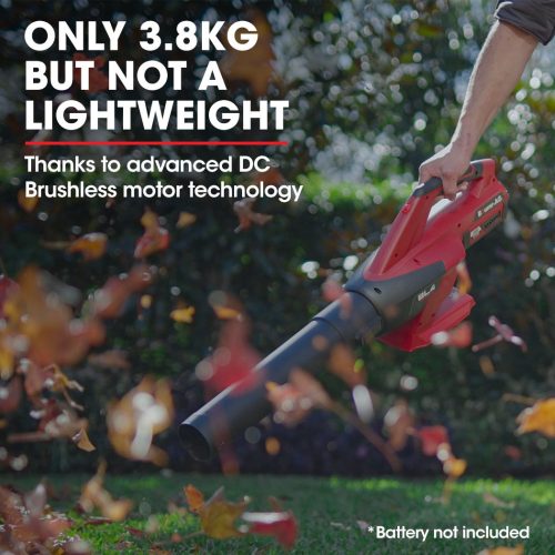 40V Cordless Electric Leaf Blower (Skin Only)