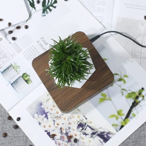 GOMINIMO Magnetic Levitating Plant Pot