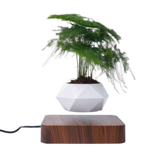 GOMINIMO Magnetic Levitating Plant Pot