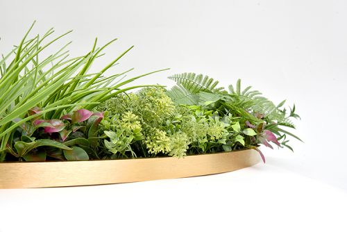 Artificial Green Wall Plant Garden Flower Panel Disc Art 100cm Grassy  UV Resistant-Wonderland
