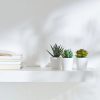 3 Pack of Artificial Succulent Potted Plants in White Plastic 6cm Pot Interior Decoration