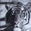 Just Home Set of 3 Printed Blue Eyes Stripes Tiger Wall Canvas