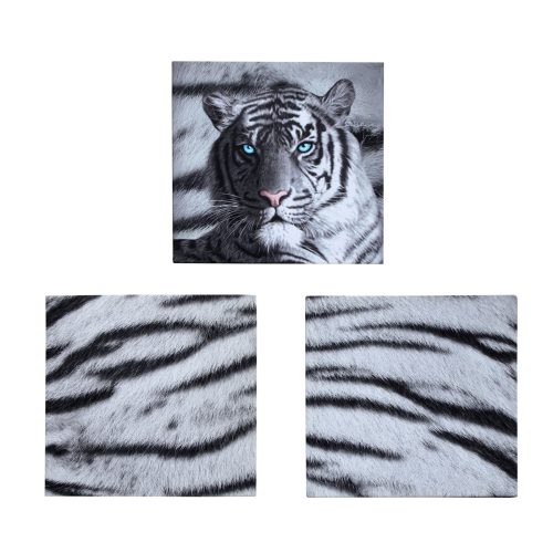 Just Home Set of 3 Printed Blue Eyes Stripes Tiger Wall Canvas