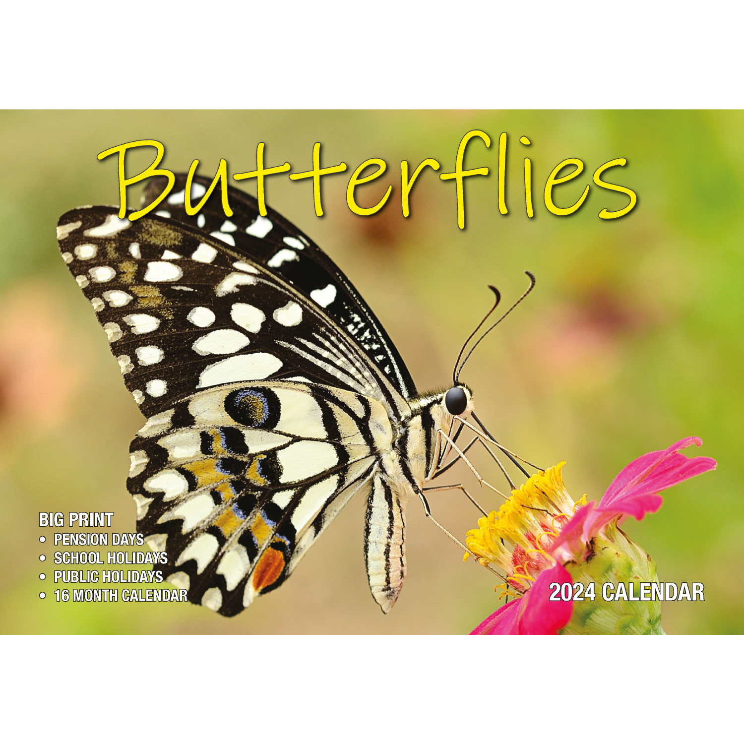 Butterflies 2024 Rectangle Wall Calendar 16 Months Colorful Butterfly   V474 614564 