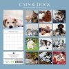 Cats & Dogs – 2024 Square Wall Calendar Pets Animals 16 Months Premium Planner