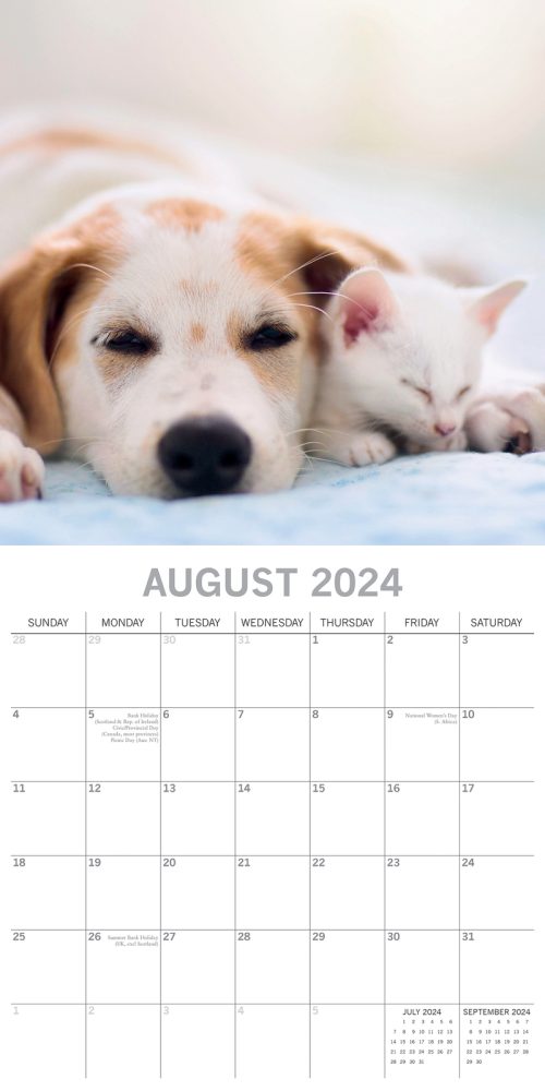 Cats & Dogs – 2024 Square Wall Calendar Pets Animals 16 Months Premium Planner