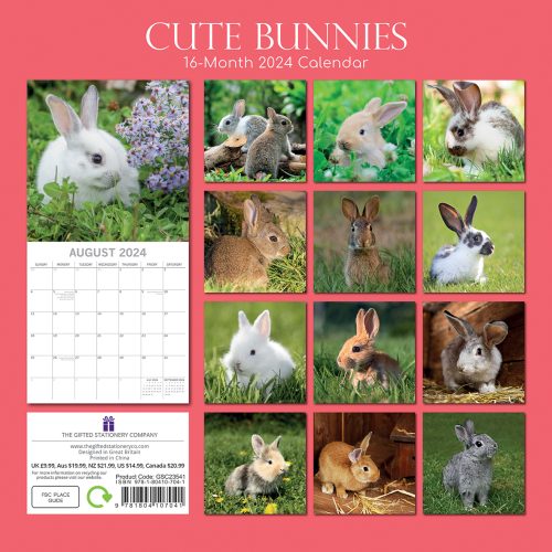 Cute Bunnies – 2024 Square Wall Calendar Pets Animals 16 Months Premium Planner