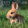 Cute Bunnies – 2024 Square Wall Calendar Pets Animals 16 Months Premium Planner