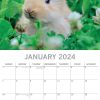 Cute Bunnies – 2024 Square Wall Calendar Pets Animals 16 Months Premium Planner