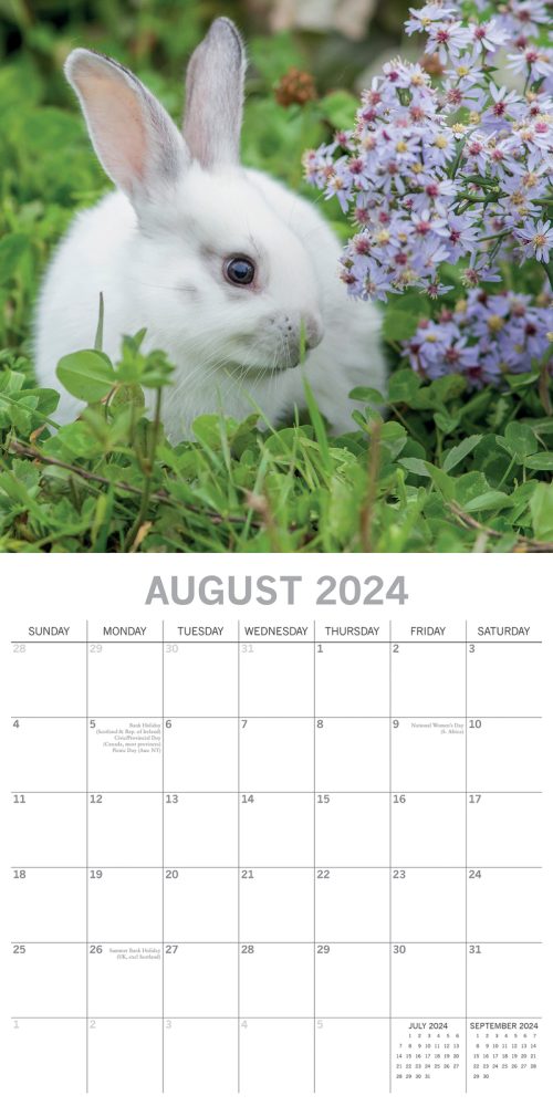 Cute Bunnies – 2024 Square Wall Calendar Pets Animals 16 Months Premium Planner