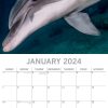 Dolphins – 2024 Square Wall Calendar Sea Animals 16 Months Premium Planner Gift