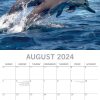 Dolphins – 2024 Square Wall Calendar Sea Animals 16 Months Premium Planner Gift