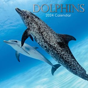 Dolphins - 2024 Square Wall Calendar Sea Animals 16 Months Premium Planner Gift